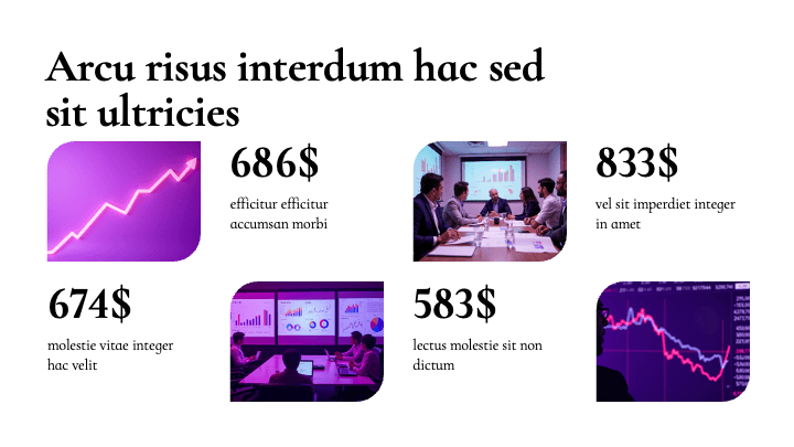 Stellar Blossom Purple Vibrant slide 4